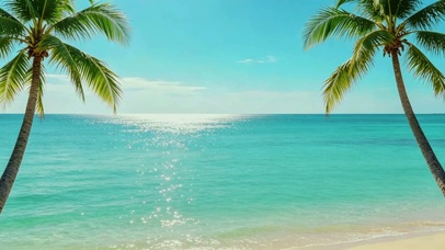 蓝天大海椰树
