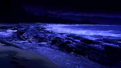 4k夜晚大海浪声