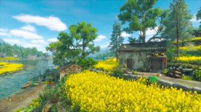 乡村田野三月花开