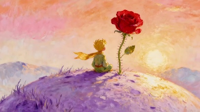 玫瑰花小王子
