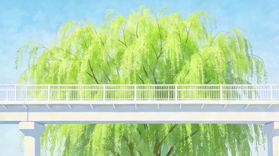 天桥翠绿柳树