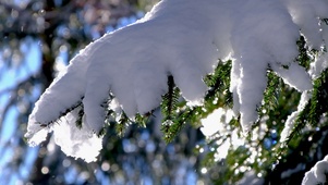 【消暑降温专题】慢镜头雪花飘落