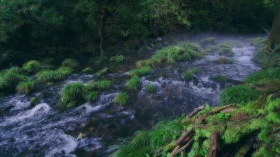 4K治愈小溪流