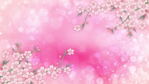 烂漫樱花雨