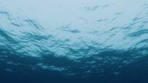 清凉海水