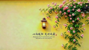 心向暖阳，笑对风霜