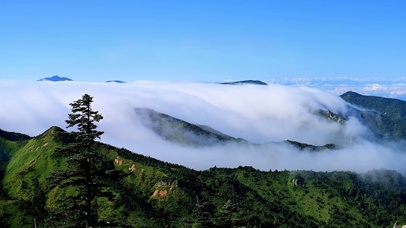 高山云海