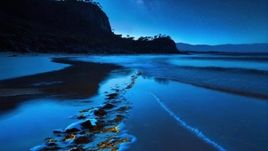 蓝色海