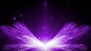 4K高贵唯美紫色粒子线条翅膀