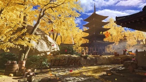 金秋阳光