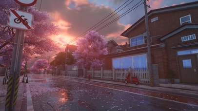 雨天樱花街道