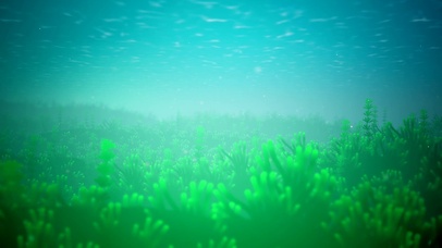 海底绿色海草