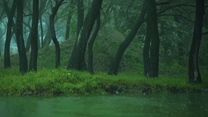 治愈的雨
