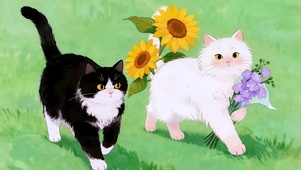 萌猫小分队
