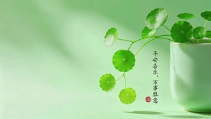 4K护眼治愈铜钱草