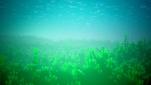 海底绿色海草