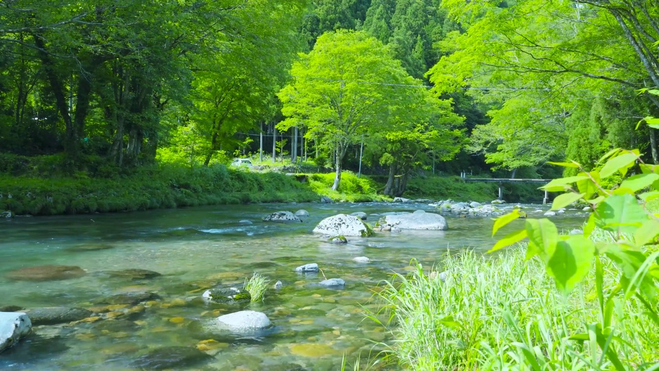 写实摄影风格的山林溪谷景观，清透浅青绿色溪流穿石流过，两侧环绕鲜绿色阔叶树林，近岸分布浅灰白色石块，整体以柔和清新的绿色调为主。