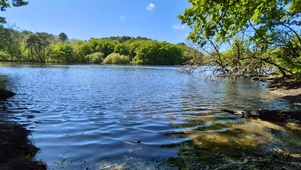 湖边风景
