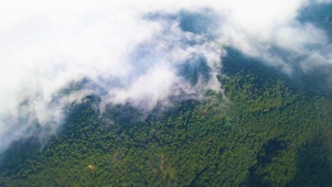 高山云雾