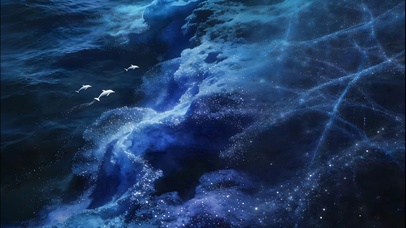 海豚海湾的浪涌