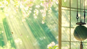 护眼树木带鱼屏