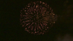 4K 高清  烟火在夜空中爆炸