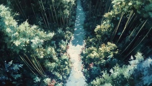 俯瞰夏日午后竹林树影