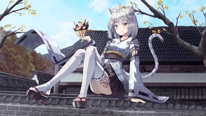 白猫少女