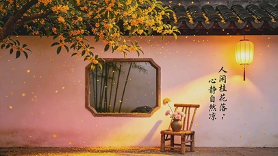 中式庭院，人间桂花落