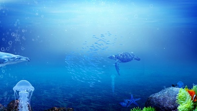 4k唯美海底世界动态壁纸