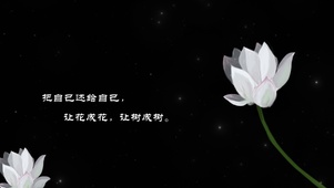 荷花文字