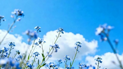 护眼花草树木