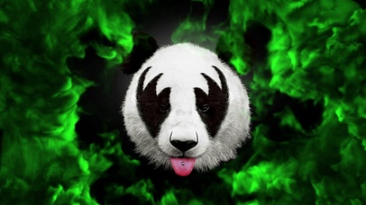 4K时尚熊猫