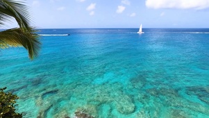 加勒比海