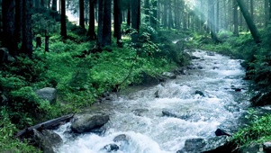 山河流水