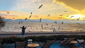 洱海的风~