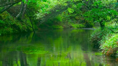 幽静护眼清新溪流