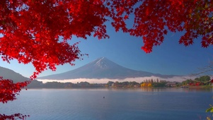 富士山下红叶湖