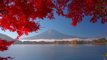 富士山下红叶湖 风景动态壁纸 动态壁纸下载 元气壁纸