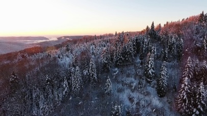 【4K航拍】渐进翻过雪松山顶