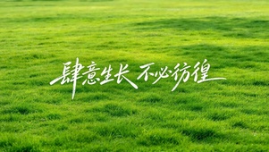 肆意生长不必彷徨清新草地