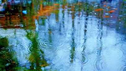 治愈湖面小雨4K