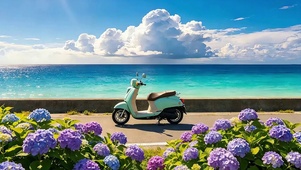 海风吹绣球