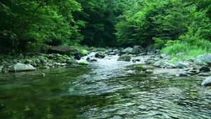山涧河流