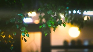 安静舒适雨夜