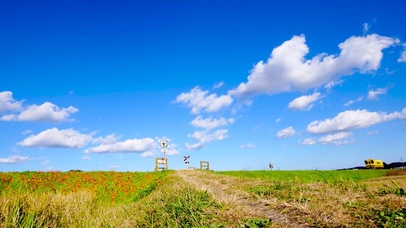 蓝天白云草地小火车
