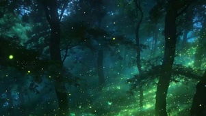 夜景树木带鱼屏
