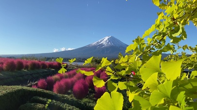 富士山下
