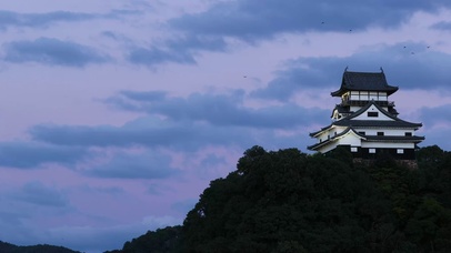 4K日本犬山城城堡