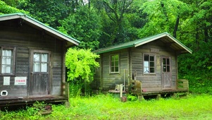 雨天绿树林木屋